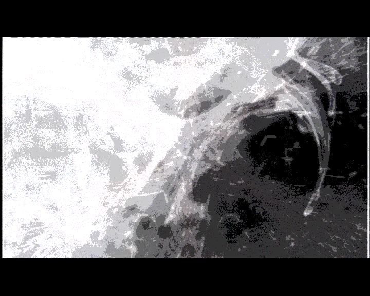 Moving pictures from the nooks and crannies of my mind